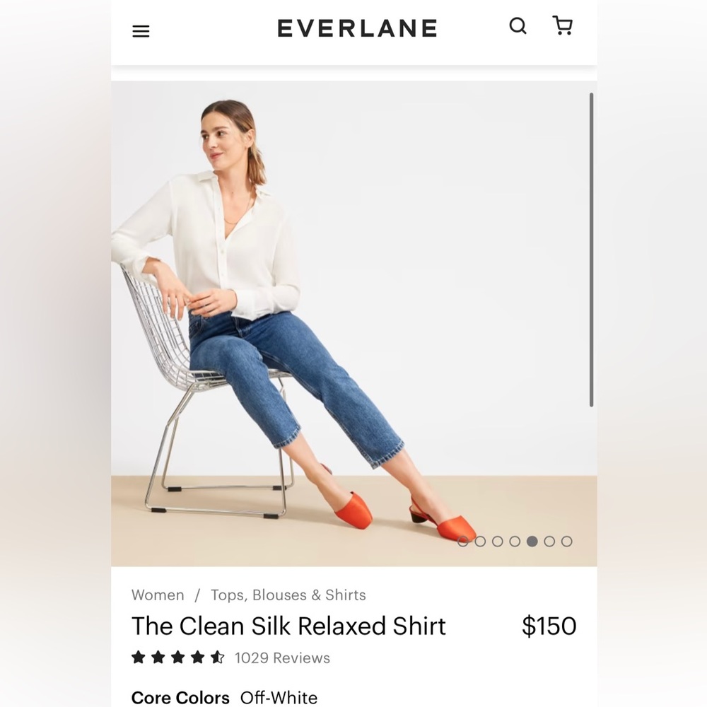 Everlane Clean Silk Relaxed Shirt